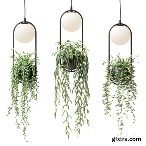 Wren - Sky Garden Planter Light