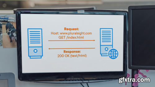 Network Protocols for Security: HTTP