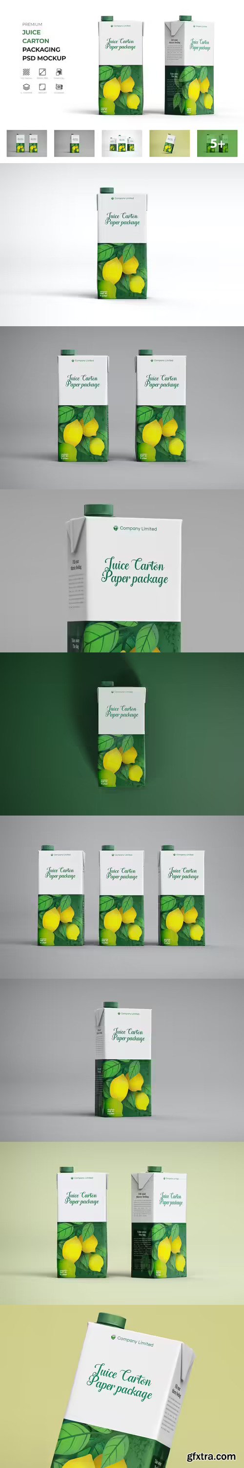 Tetra Pack Fruit Juice Carton Mockup