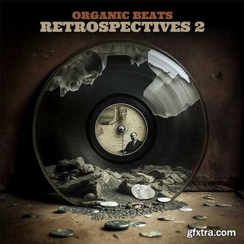 Boom Bap Labs Organic Beats Retrospectives 2