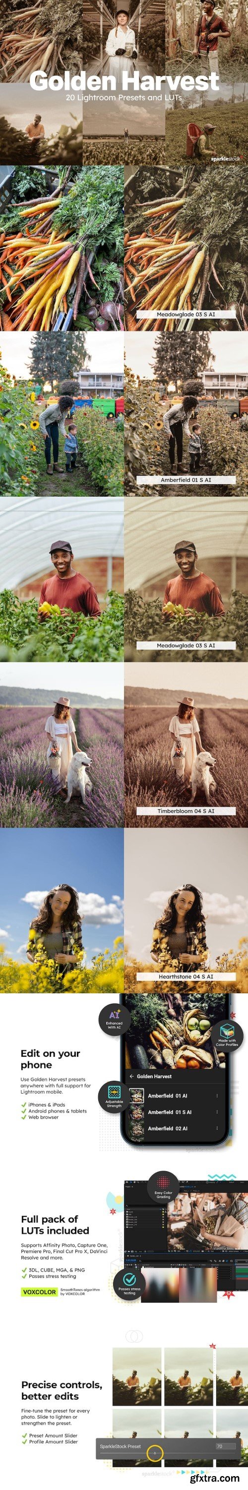 Creativemarket - 20 Golden Harvest Lightroom Presets and LUTs