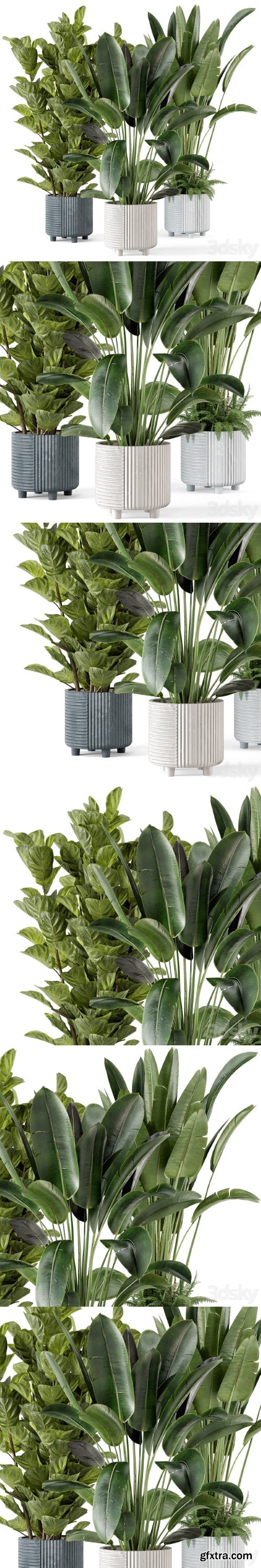 Indoor Planters in Cecilia Ficonstone Pot - Set 409