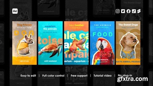 Videohive Pet Shop Instagram Stories 46100775