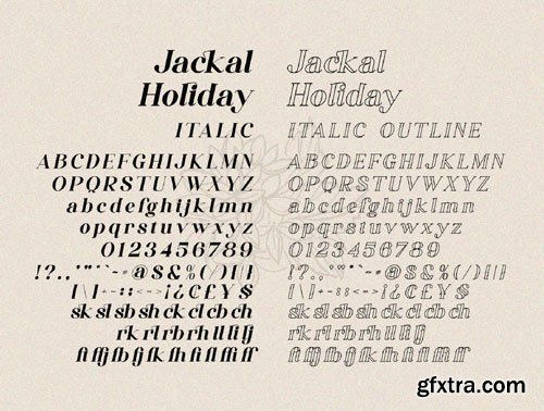 Jackal Holiday Ui8.net