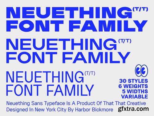 Neuething Sans (30 Styles) Ui8.net