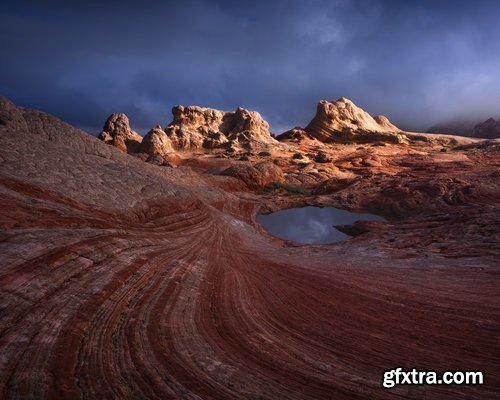 Alex Noriega - Coral Chaos Edit