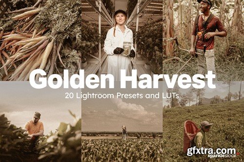 20 Golden Harvest Lightroom Presets and LUTs 5ME9NNN