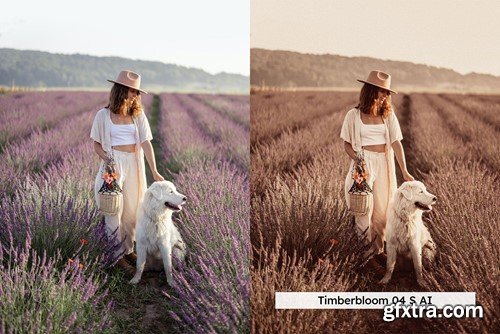 20 Golden Harvest Lightroom Presets and LUTs 5ME9NNN