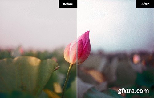 6 Summer vibes Lightroom and Photoshop Presets U5T6PWM