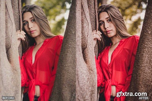 Portrait Lightroom Presets for mobile and desktop WR3SR3F