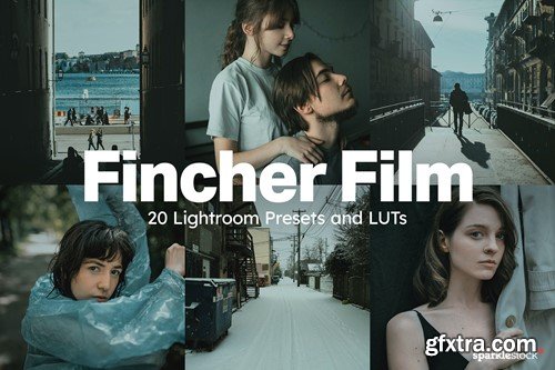 20 Fincher Film Lightroom Presets and LUTs 9EWCHGY