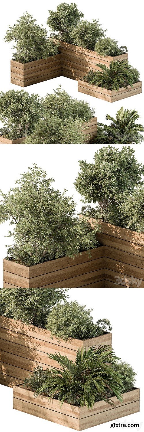 Plant Box Outdoor Plants 487