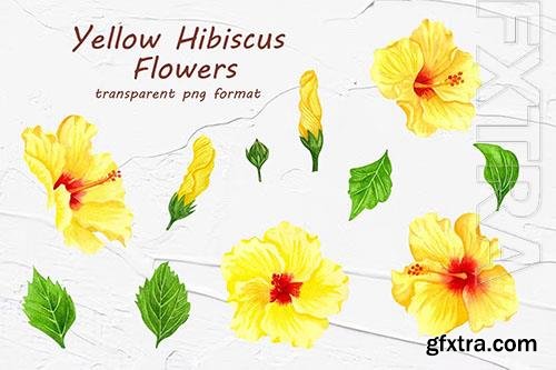 Yellow Hibiscus Flowers [PNG]