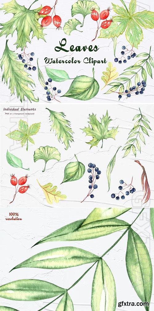 Green Leaves Watercolor Clipart [PNG]