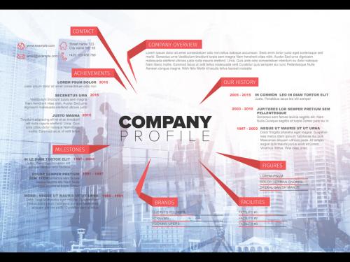 Company Overview Informative Layout 268169171