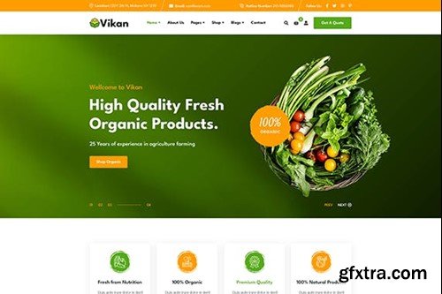 Vikan - Organic Food Store HTML Template PNXGBH8