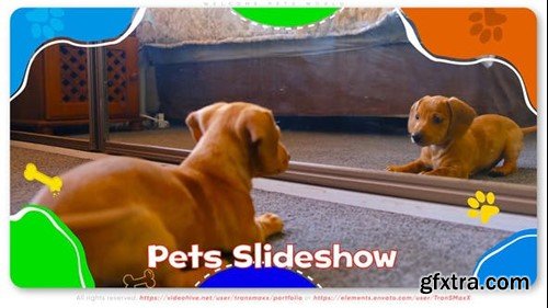 Videohive Welcome Pets World 46298871