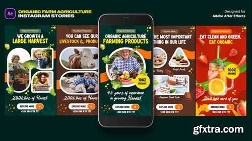 Videohive Organic Food Instagram Stories 46320755