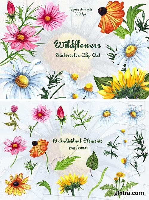 Wildflowers Watercolor Clipart [PNG]