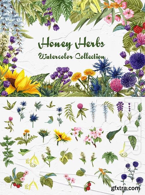 Honey Herbs Watercolor Clipart [PNG]