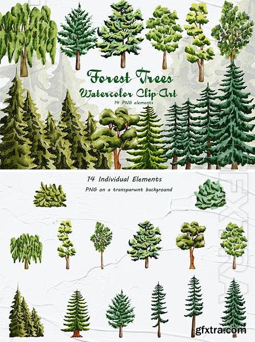 Forest Trees Watercolor Clipart [PNG]