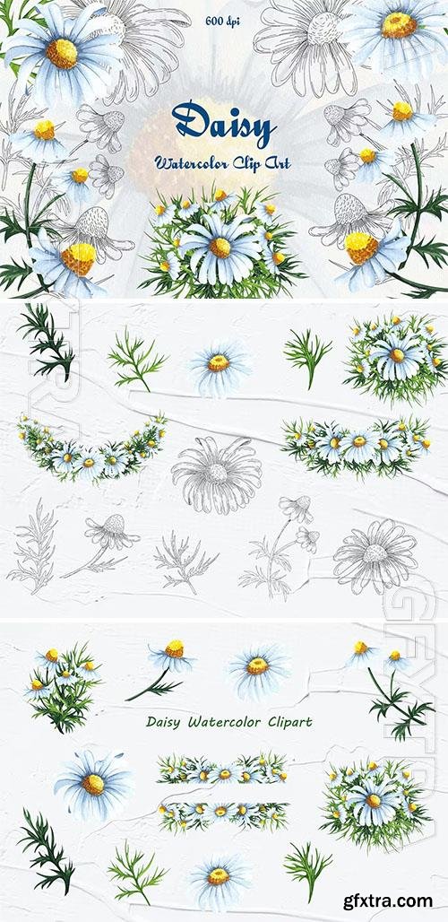 Daisy Watercolor Clipart [PNG]