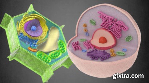 Principles Of Cell Biology