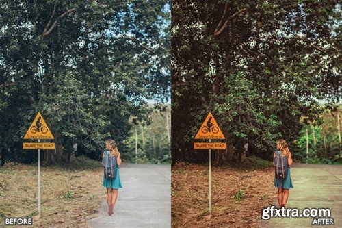 Best Landscape and Nature Lightroom Presets UXSLQPC