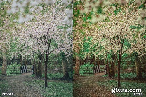 Best Landscape and Nature Lightroom Presets UXSLQPC