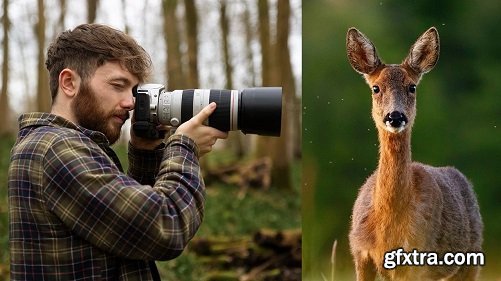 Wildlife Photography: How to Take Captivating Animal Portraits