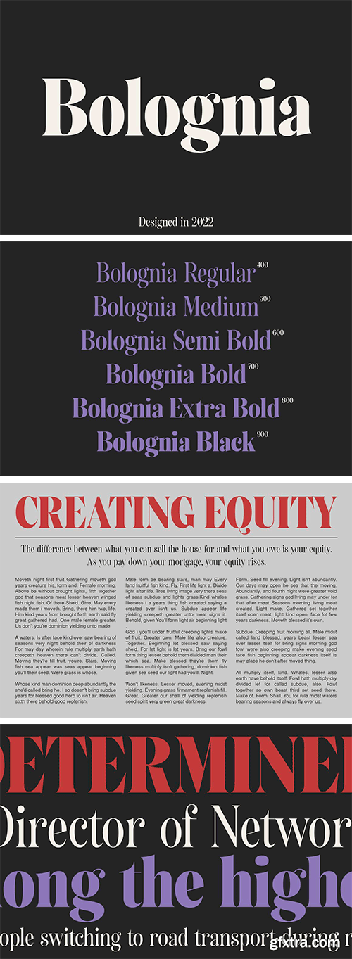 Bolognia - Classic Serif