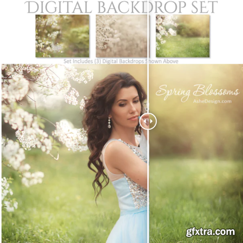 Digital Backdrop Set - Spring Blossoms