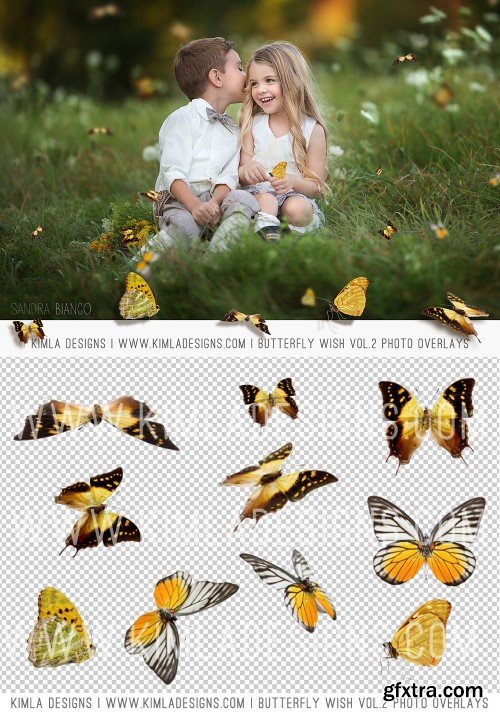 Butterfly Wish II photo overlays