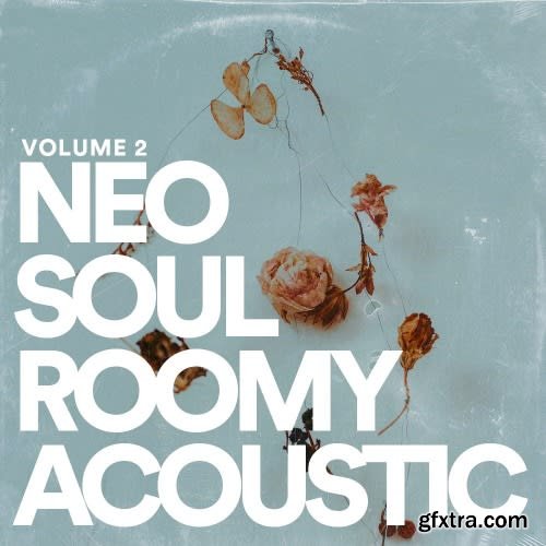 Jake Fine Neo Soul Guitar Sauce Vol 2 Roomy Acoustic