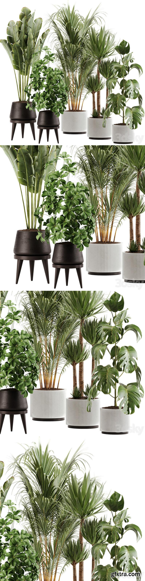 Indoor Plant Set 13