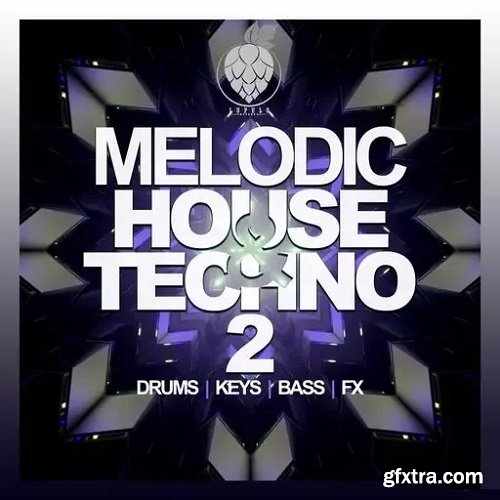 Dirty Music Melodic House & Techno Vol 2