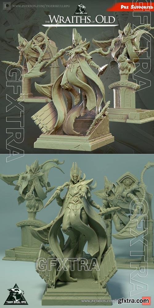 Wraiths of Old &ndash; 3D Print Model