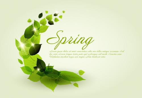 Web Banner Layout with Leaf Illustrations 233624345