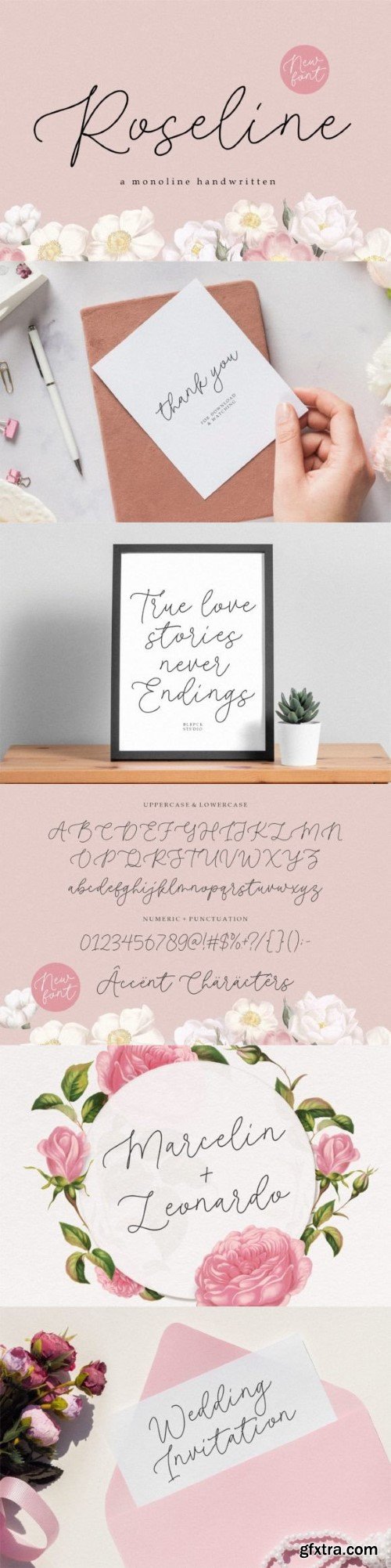 Roseline - Monoline Handwritten Font