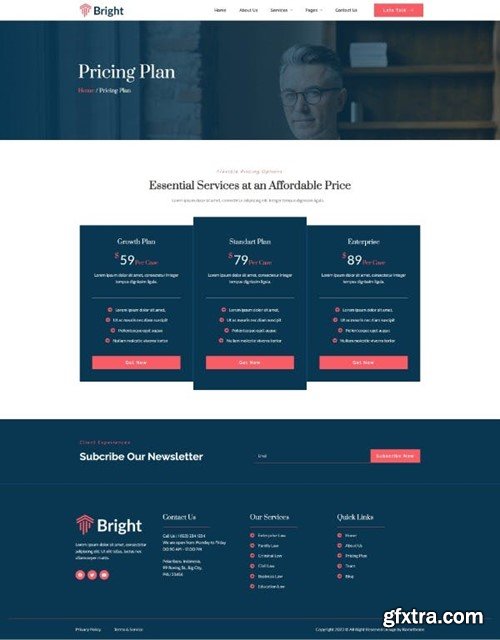 Bright - Lawyer and Firm Elementor Template Kit WAEDYLB