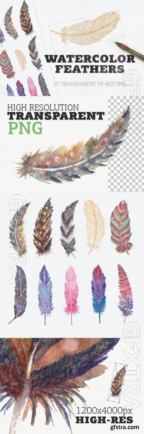 Watercolor Feathers