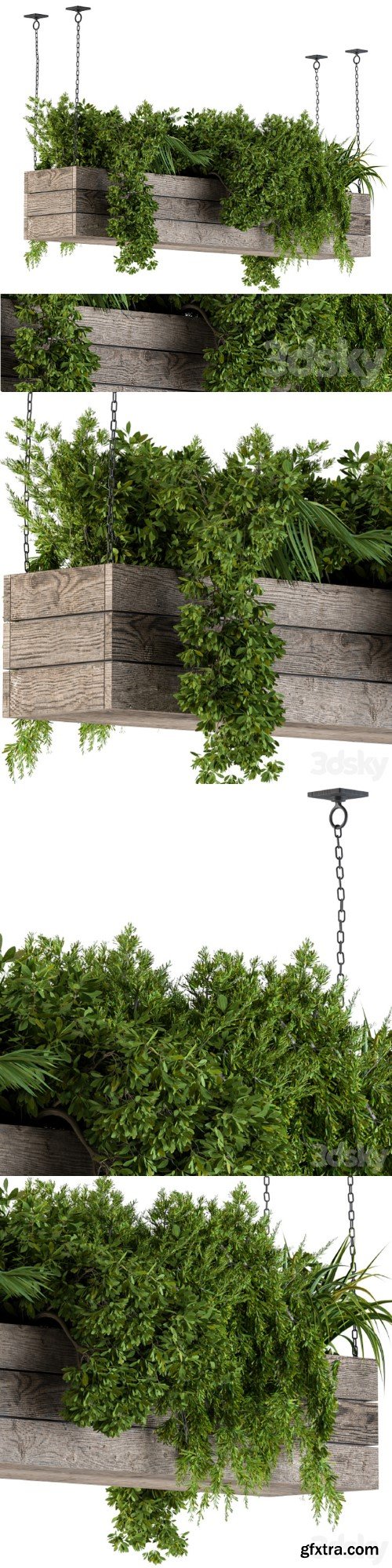 Hanging Plants in Wooden Box