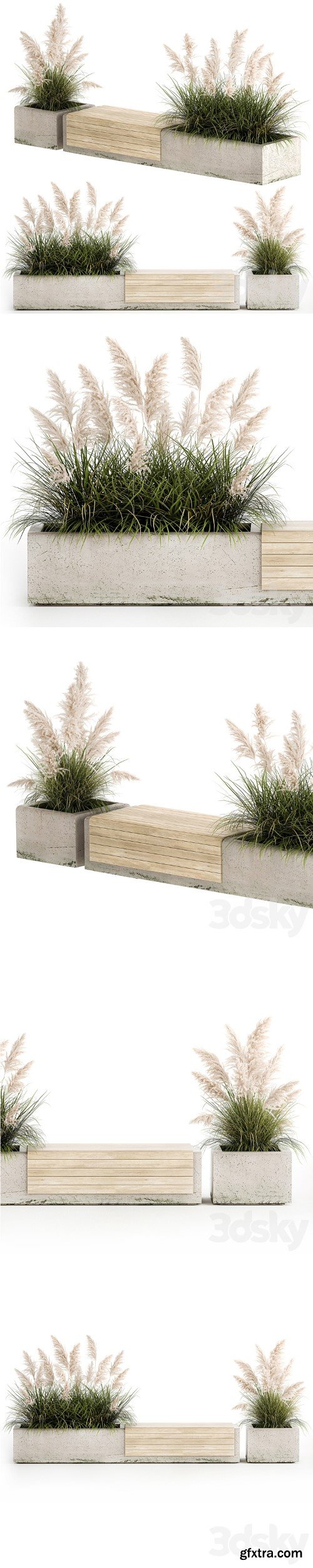 Decorative bench flowerbed for the urban environment and landscape design in a concrete flowerpot with bushes of reeds and white pampas grass, Cortaderia. 1144.