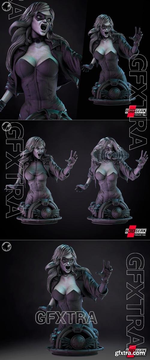 B3DSERK - Black Canary Bust &ndash; 3D Print Model