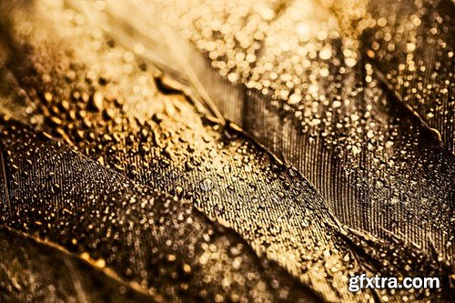 Golden glitter texture backgrounds ZRTD2H8