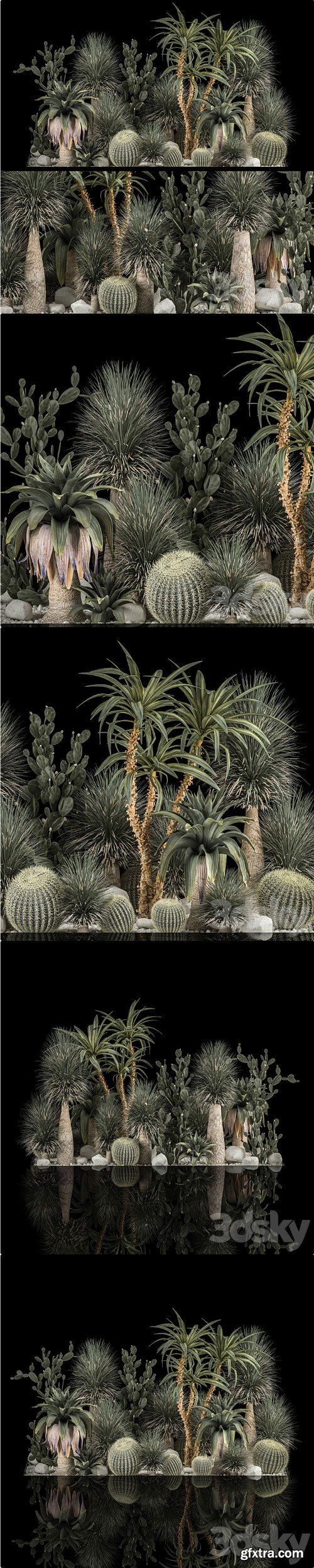 Collection of tropical plants of the desert 1117. cactus, yucca, prickly pear, thickets, bushes, garden, dracaena