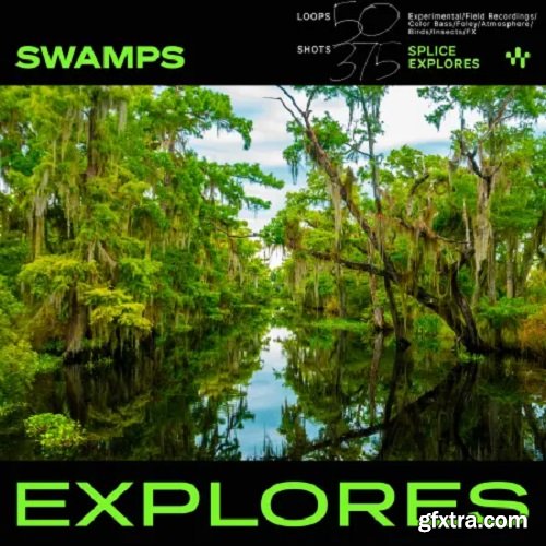 Splice Explores Swamps