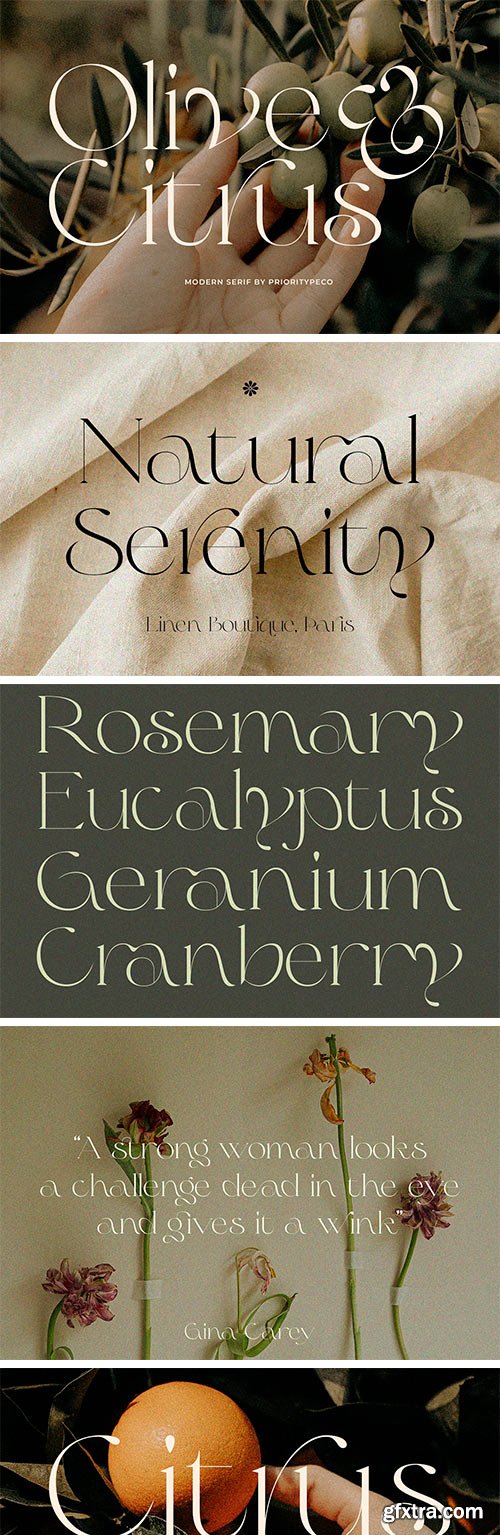 Olive &amp; Citrus - Modern Serif