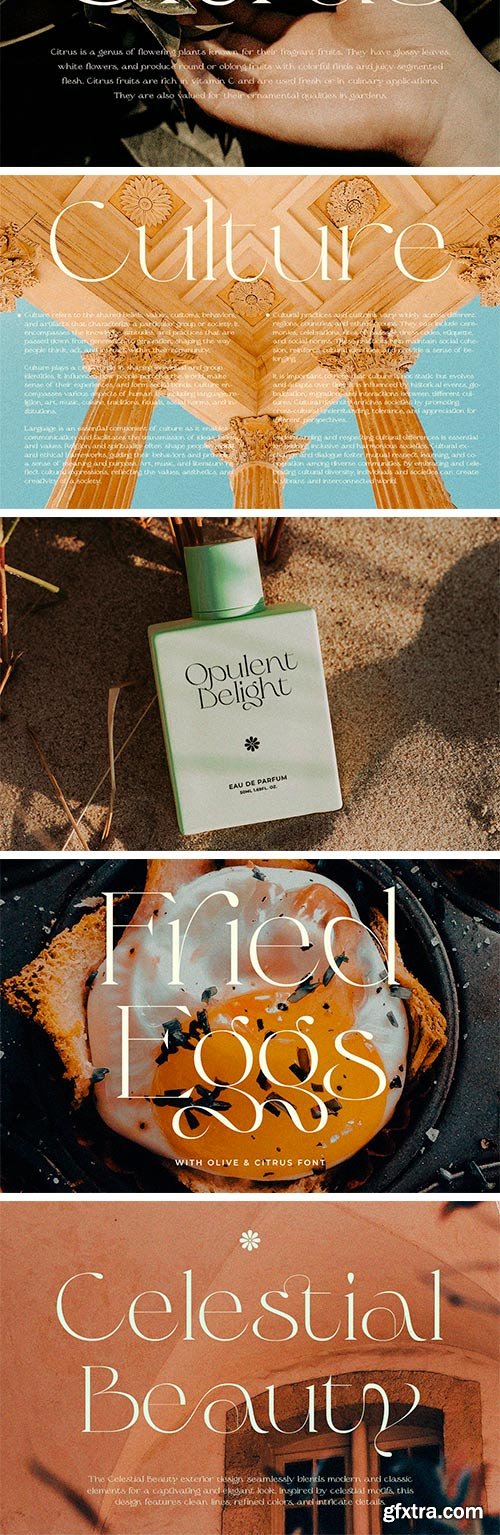 Olive &amp; Citrus - Modern Serif