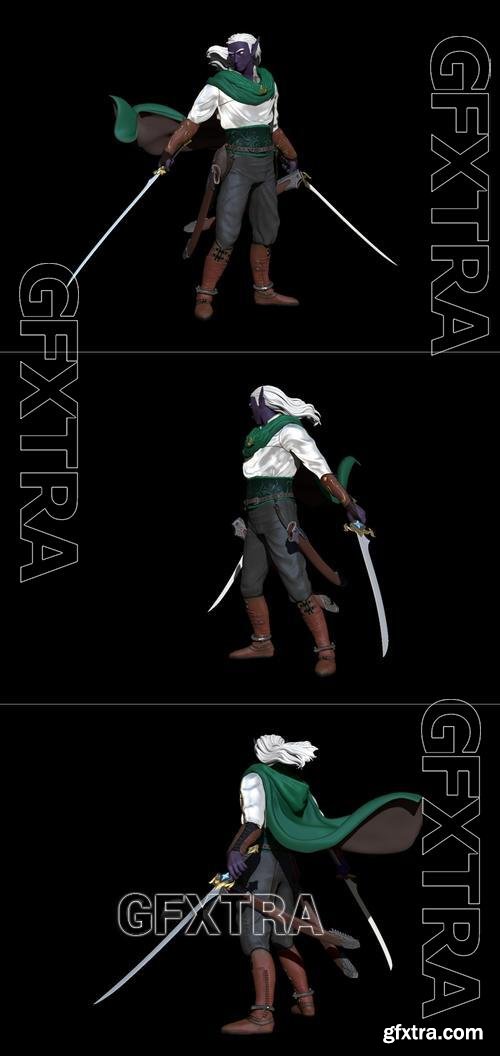 Drizzt &ndash; 3D Print Model